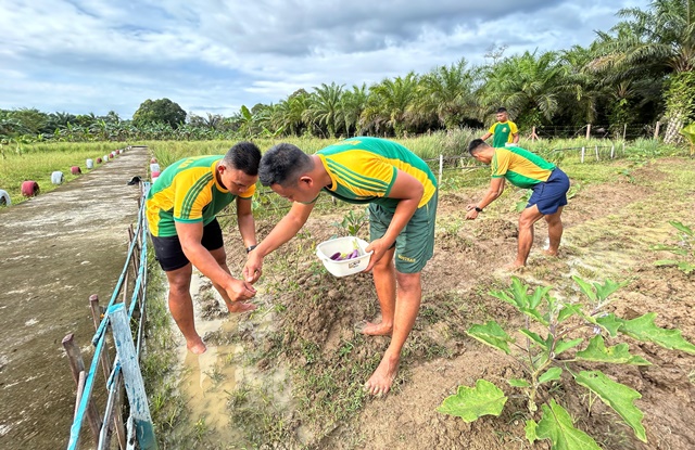 Satgas Pamtas Yonarmed 11 Kostrad Pos Aji Kuning mewujudkan pangan mandiri dengan menanam sayuran di Desa Aji Kuning, Kecamatan Sebatik Tengah, Kabupaten Nunukan, Kaltara, Kamis (06/02/2025). (foto: Peneleven/Narwan)