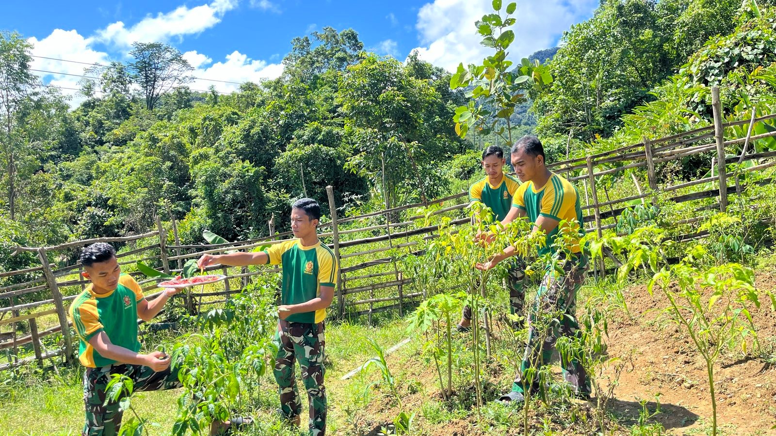 Wujudkan kemandirian pangan, Satgas Pamtas Yonarmed 11 Kostrad Pos Lumbis memanfaatkan lahan kosong untuk bercocok tanam di sekitar Pos Lumbis, Desa Tau Lumbis, Kecamatan Lumbis Hulu, Kabupaten Nunukan, Kaltara, Sabtu (15/03/2025). (foto: Peneleven/Narwan)