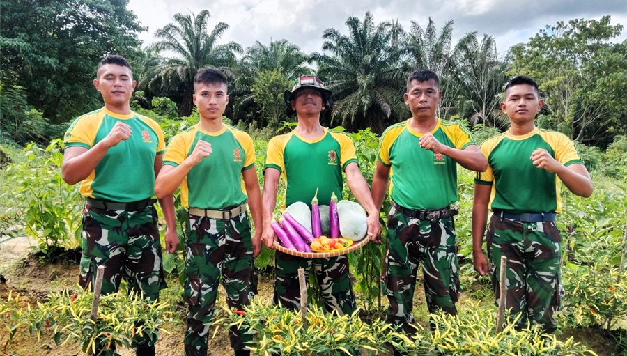 Satgas Pamtas RI-Malaysia Yonarmed 11 Kostrad Pos Sei Ular melaksanakan panen hasil kebun yang selama ini ditanam dan dirawat, Kamis (10/04/2025). (foto: Peneleven/Narwan)