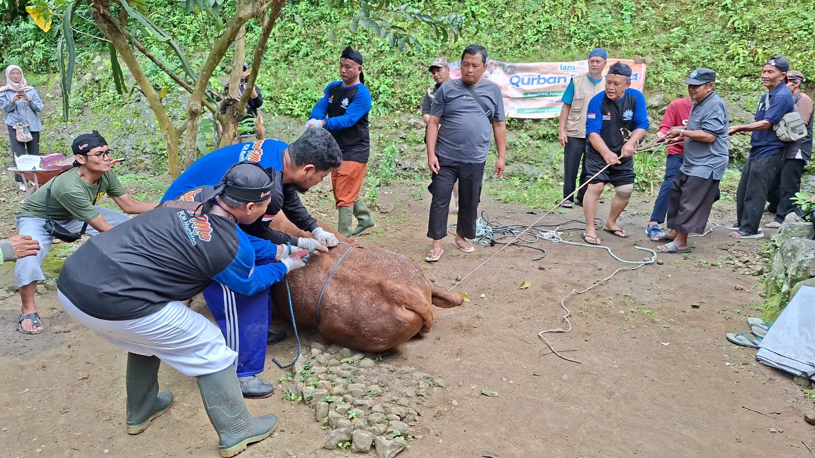 PRM Gunungpring gelar safari tebar hewan kurban di pelosok pegunungan suroloyo (Agri/Mitramabesnews.com/Magelang)