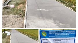 Oplus_131072