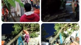 Oplus_131072
