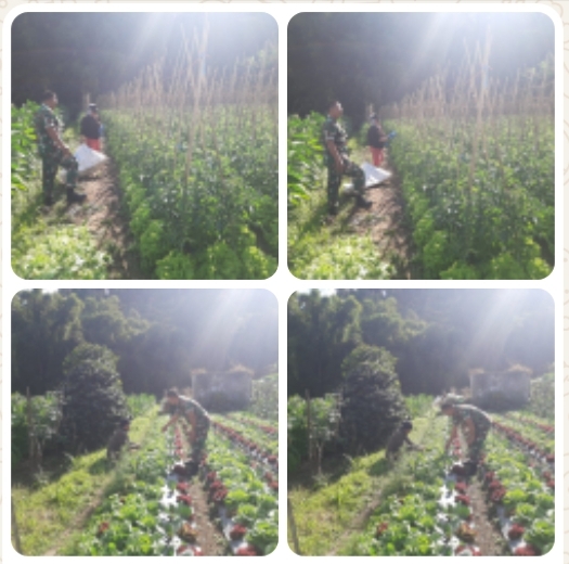 Oplus_131072